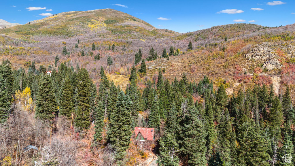 View of mountain feature