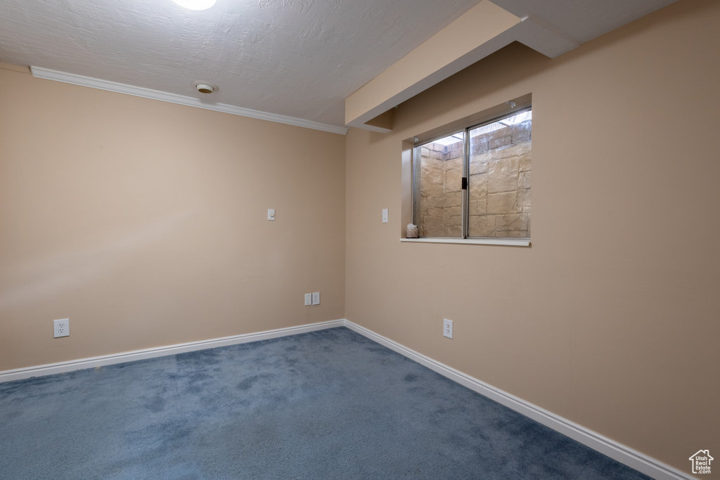 Unfurnished room with ornamental molding, a textured ceiling, and carpet flooring