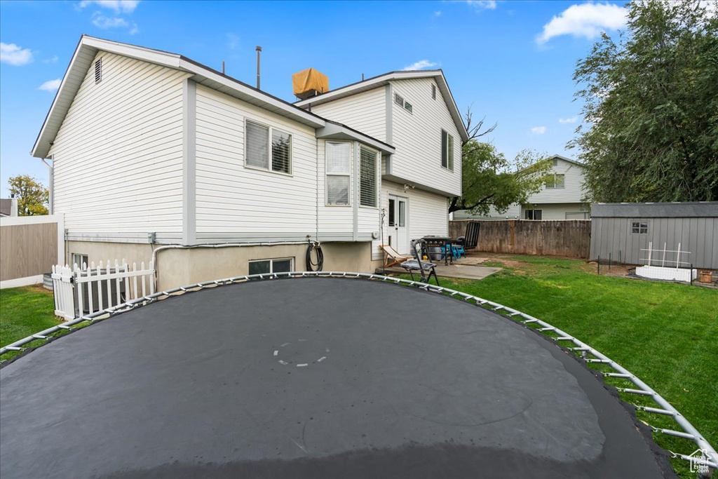 Rear view of property featuring a patio, a storage unit, and a lawn