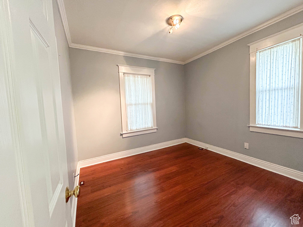 Empty room with crown molding, plenty of natural light, and hardwood / wood-style floors