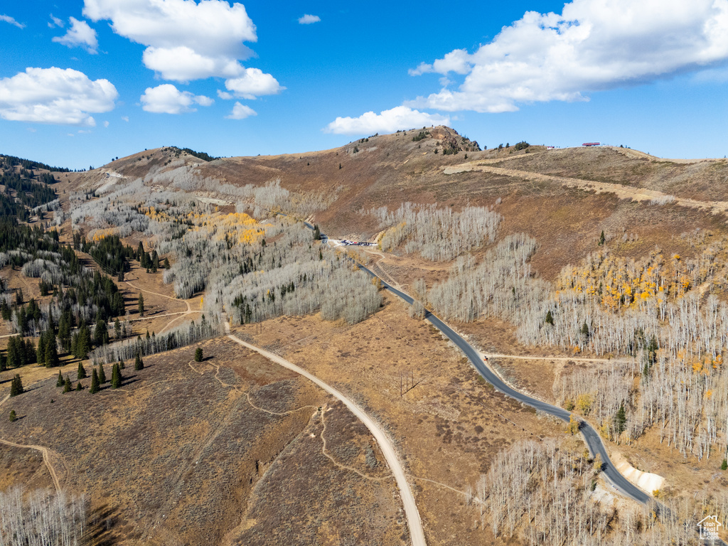 Aerial view with a mountain view