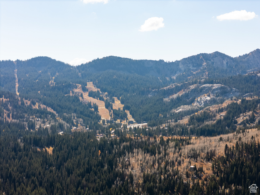 Property view of mountains