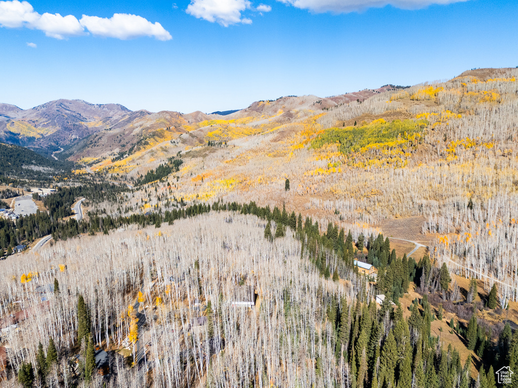 View of mountain feature