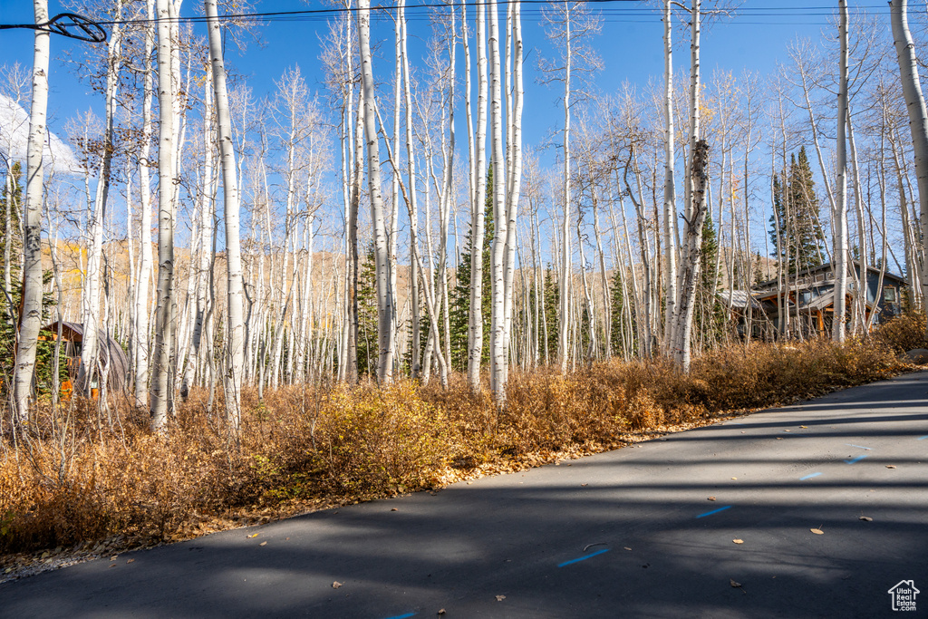 View of road