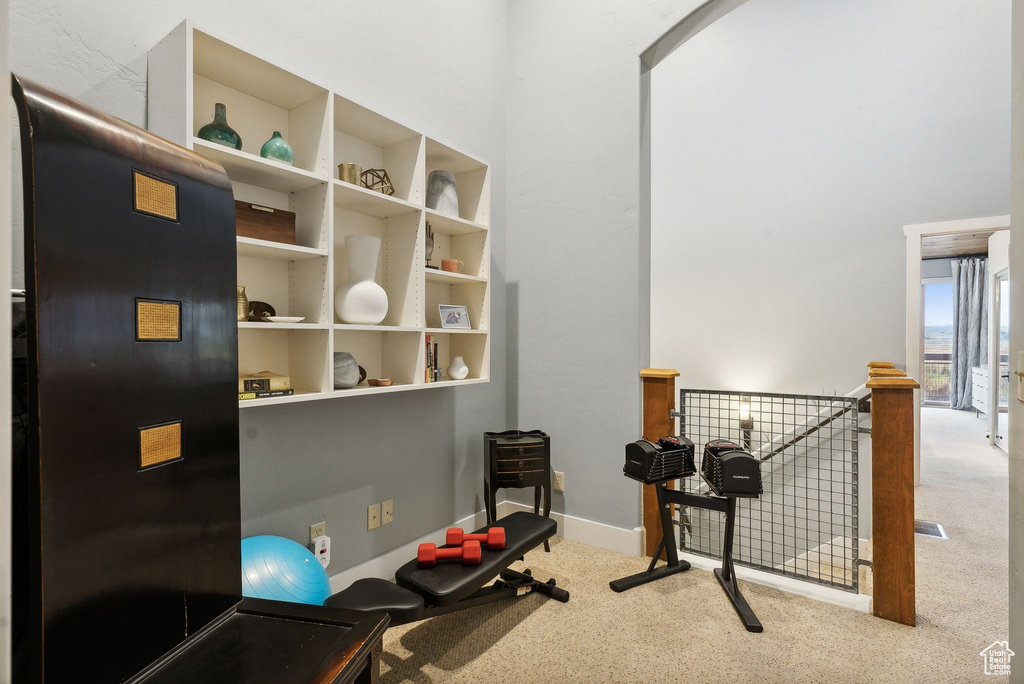 Workout room with light colored carpet