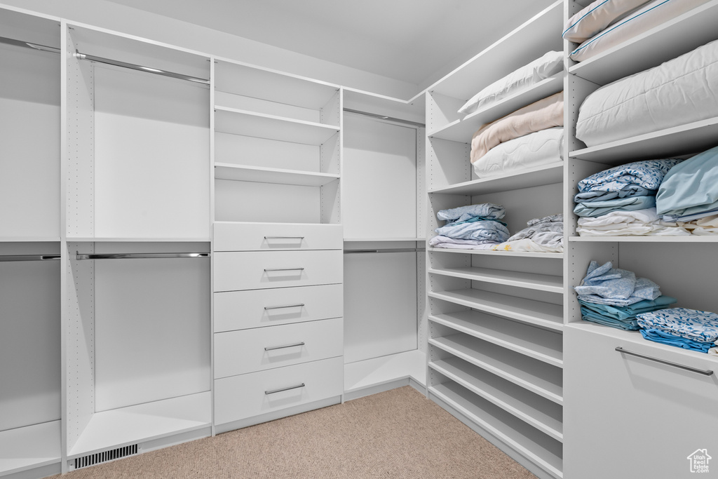 Spacious closet featuring light colored carpet