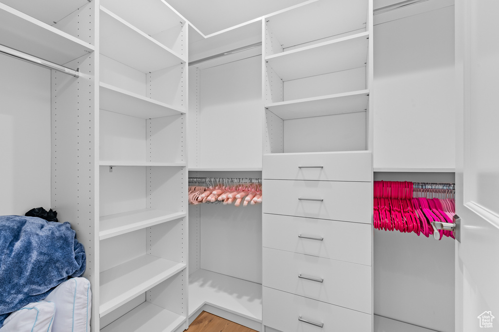 Spacious closet with wood-type flooring