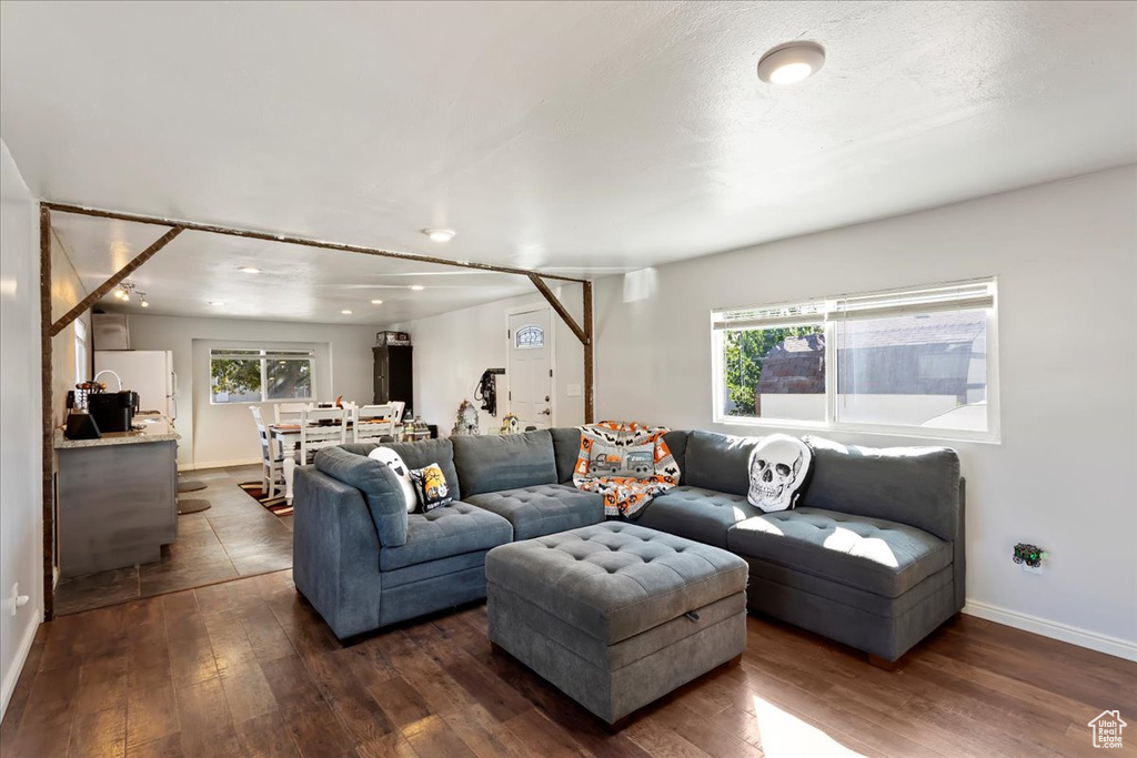 Living room featuring dark hardwood / wood-style floors