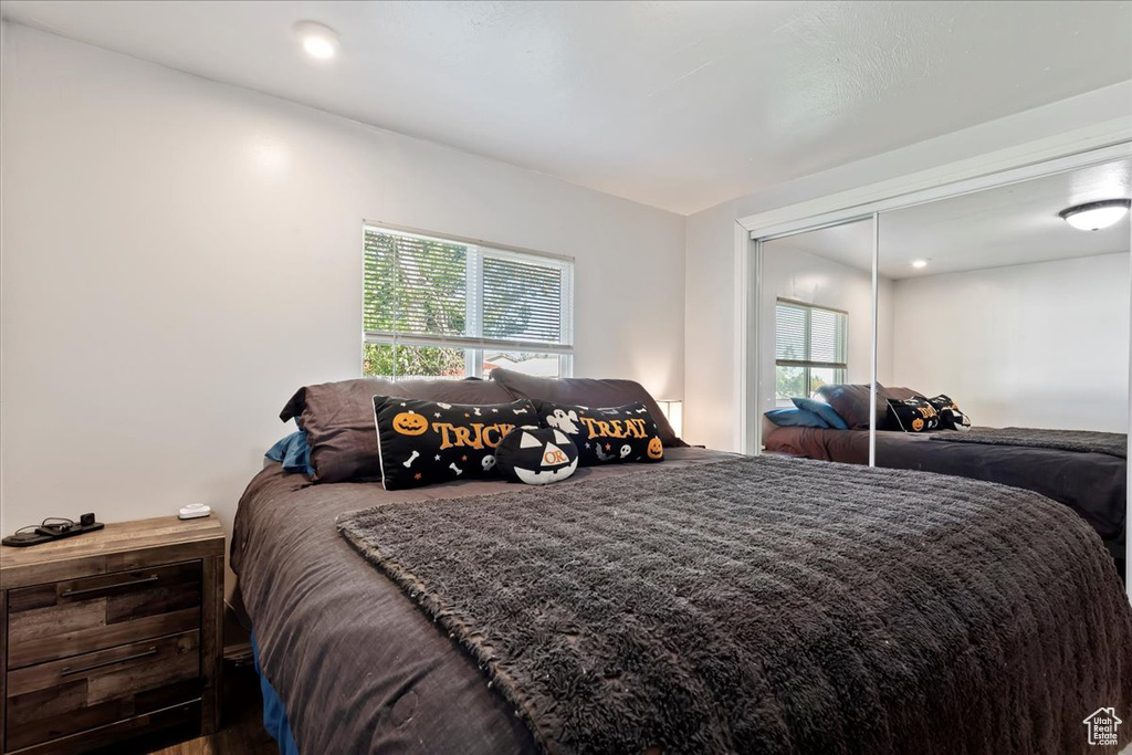 Bedroom featuring a closet, multiple windows, and wood-type flooring