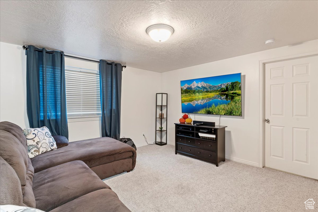 Living room with light carpet and a textured ceiling