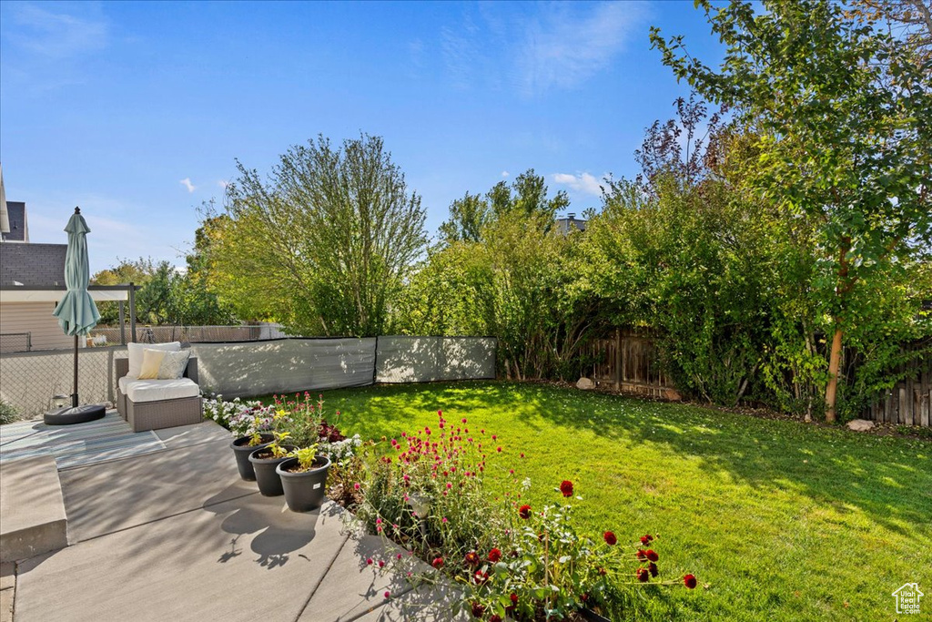 View of yard featuring a patio area