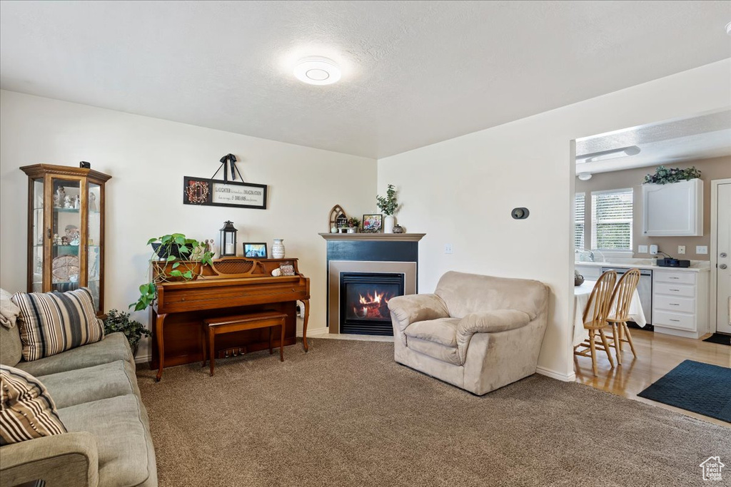 Living room featuring a textured ceiling and light colored carpet