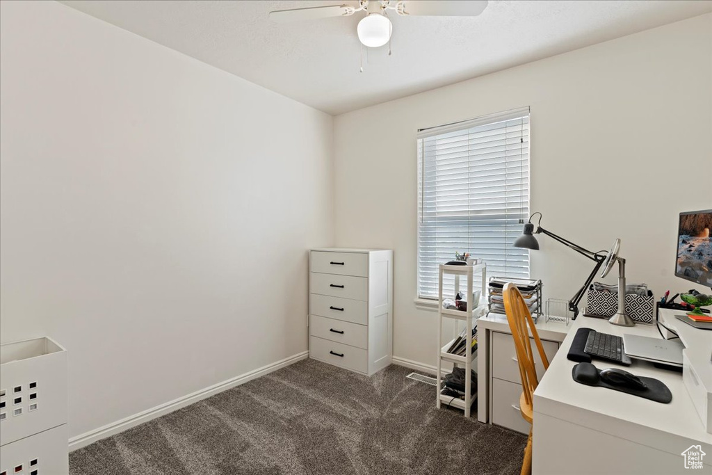 Carpeted office space with a healthy amount of sunlight and ceiling fan