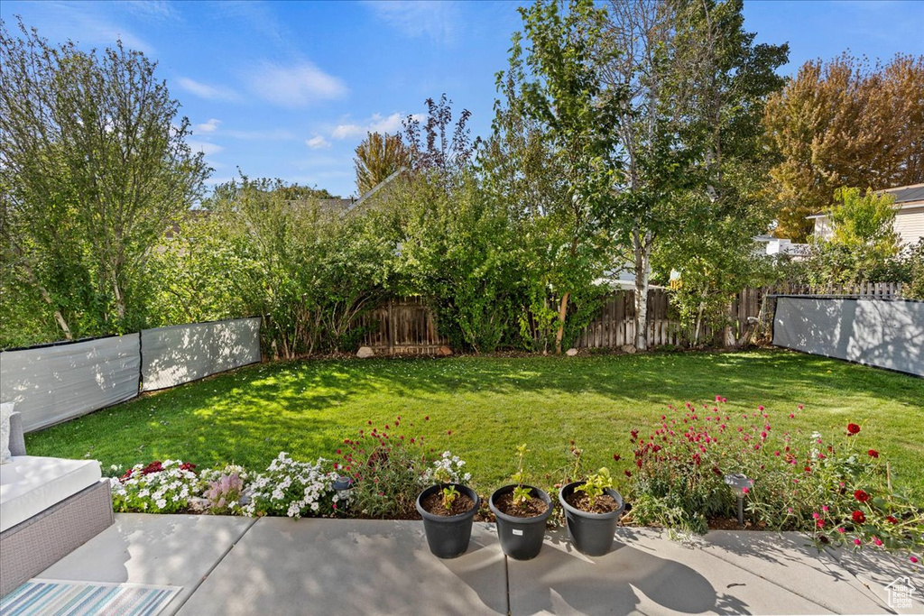 View of yard featuring a patio area