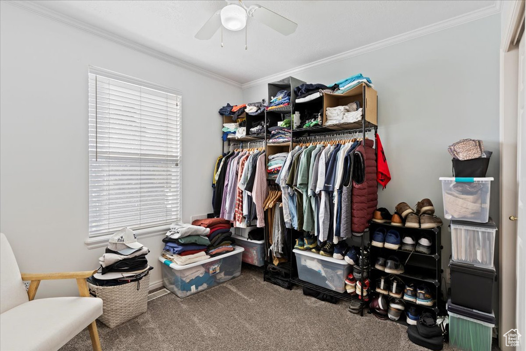 Walk in closet featuring carpet and ceiling fan