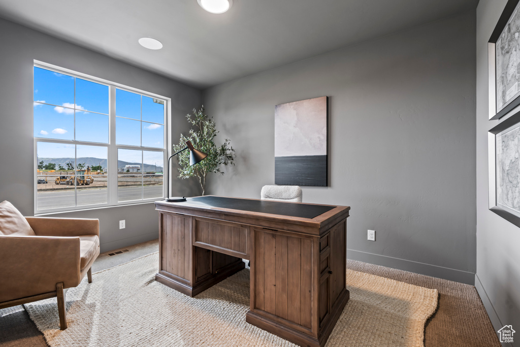 Office area featuring a mountain view and light colored carpet