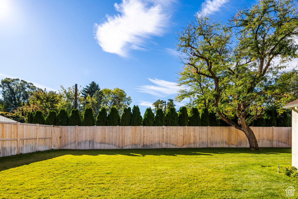 View of yard