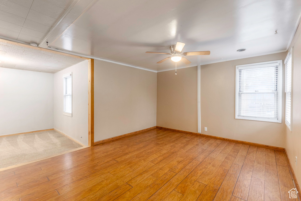 Empty room featuring light wood-type flooring, a healthy amount of sunlight, and ceiling fan