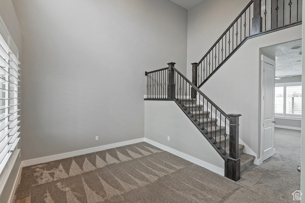 Staircase with carpet floors