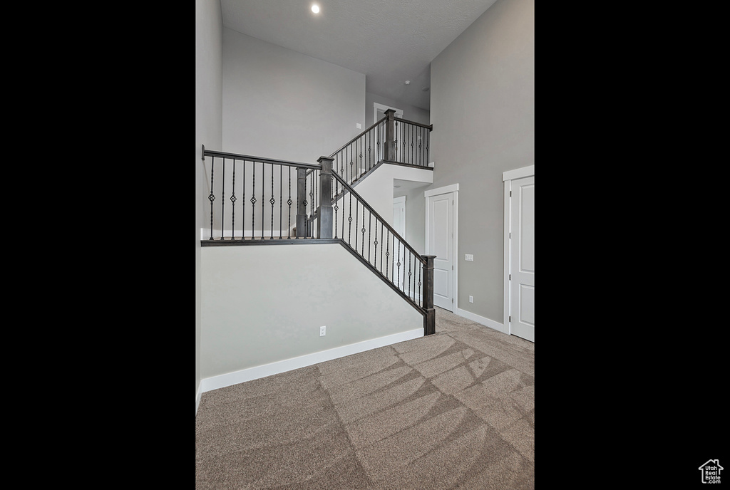 Stairway featuring carpet floors and a high ceiling