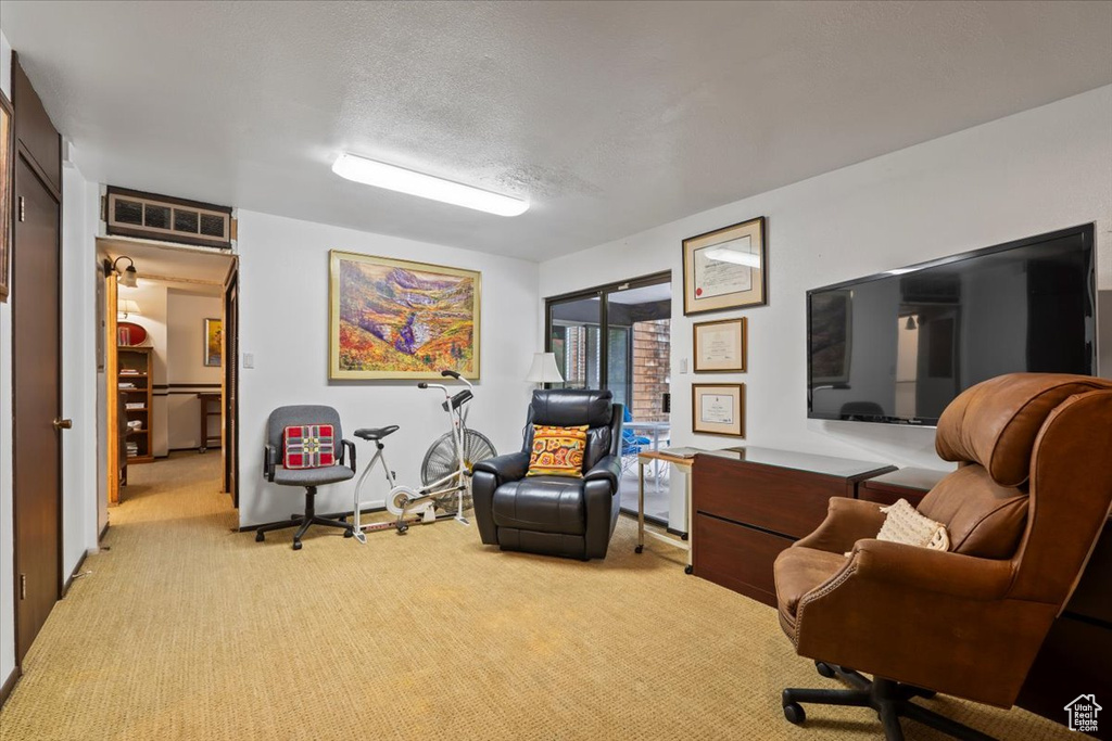 Sitting room featuring a textured ceiling and light colored carpet