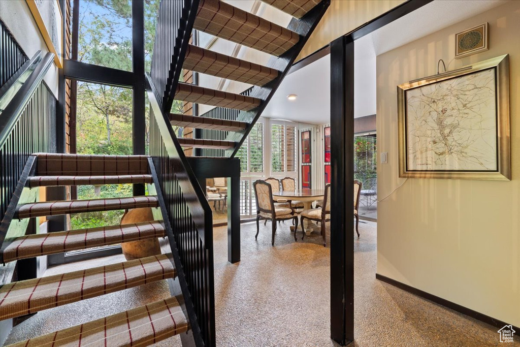 Stairs with carpet flooring and a wealth of natural light