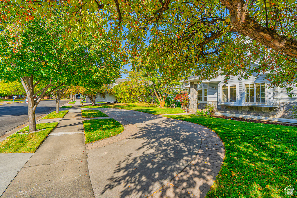 View of front of property with a front yard