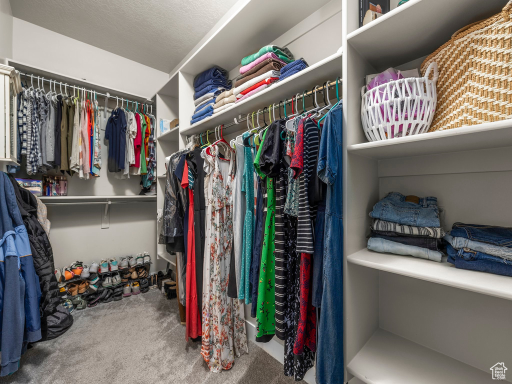 Spacious closet with carpet