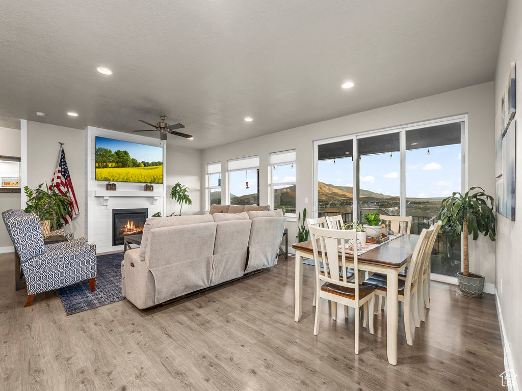 Living room featuring ceiling fan and light hardwood / wood-style flooring