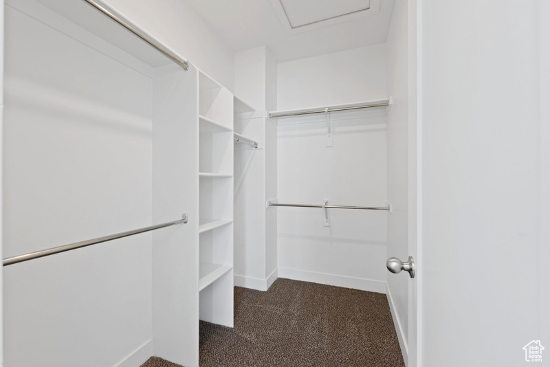 Walk in closet featuring dark carpet