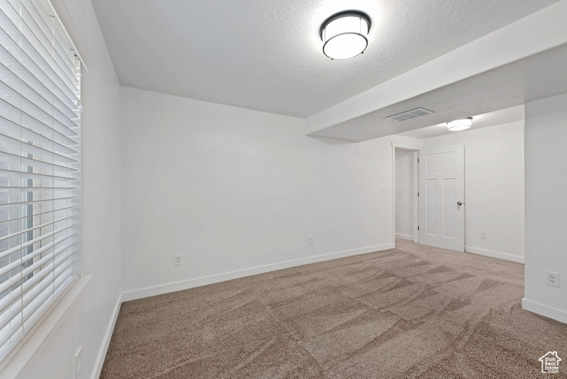 Carpeted empty room featuring a textured ceiling and a wealth of natural light