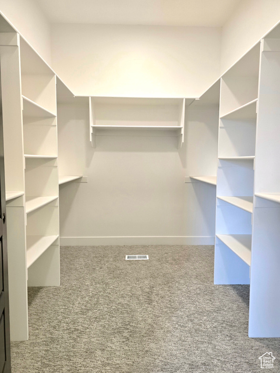 Spacious closet with carpet flooring