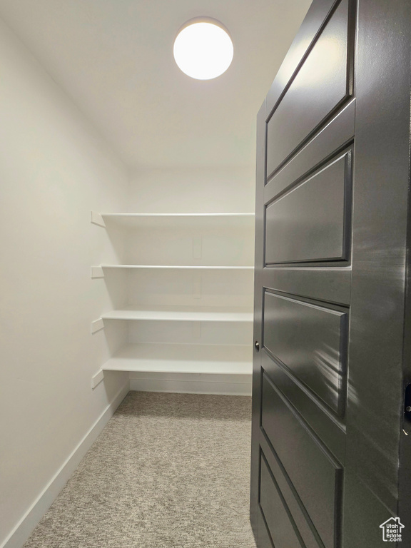 Spacious closet with light colored carpet