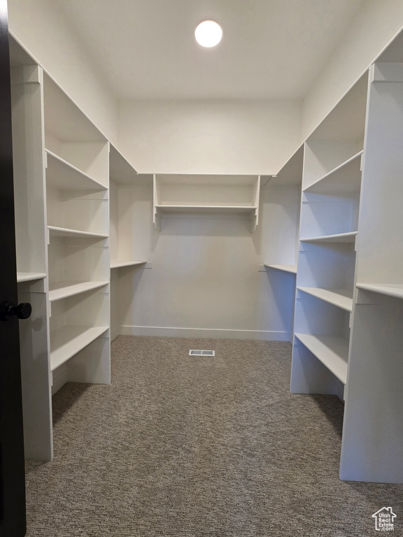 Walk in closet with dark carpet