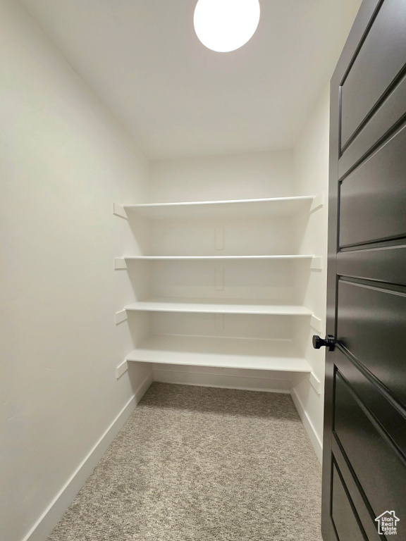 Spacious closet featuring light colored carpet