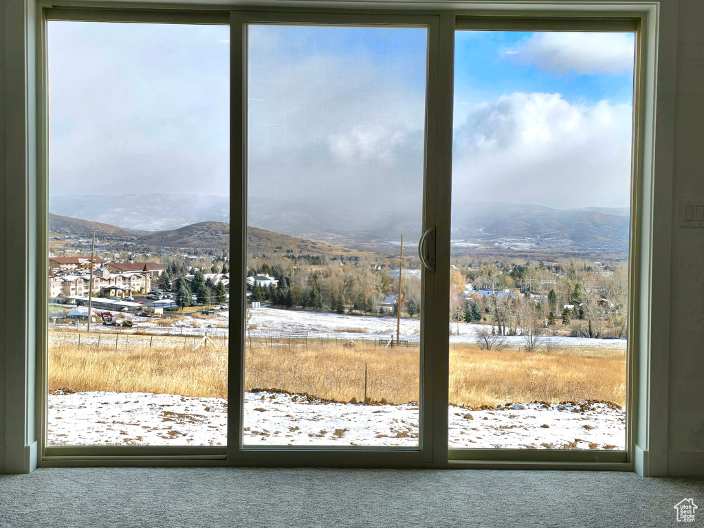 Entryway featuring carpet, a mountain view, and plenty of natural light