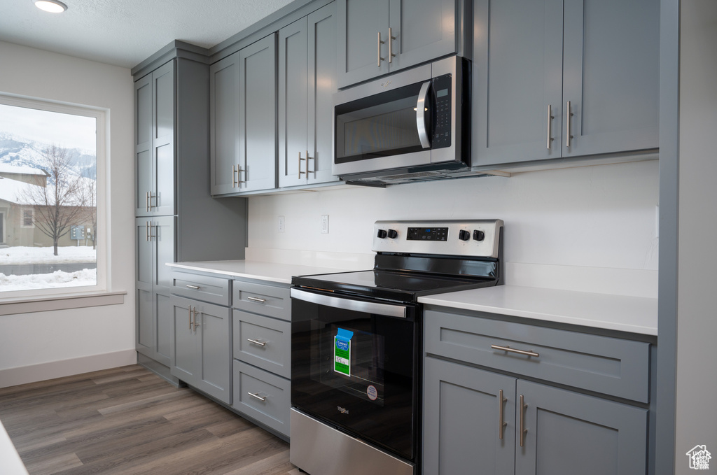 Kitchen with gray cabinetry, stainless steel appliances, and dark wood-type flooring