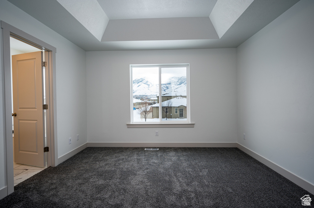 Carpeted spare room featuring a raised ceiling