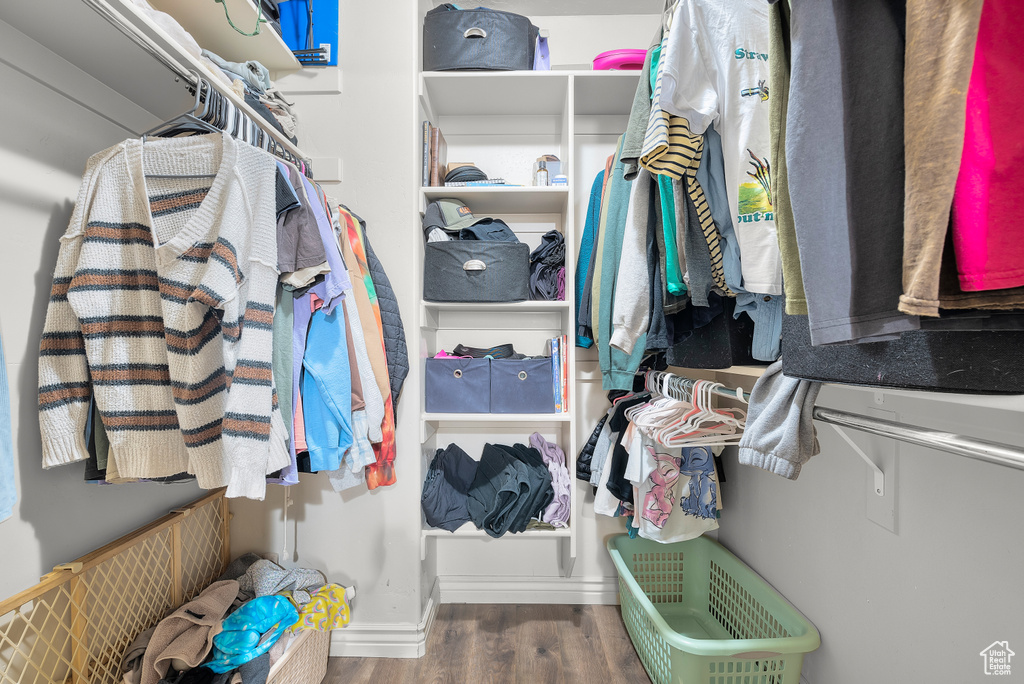 Walk in closet featuring dark wood-type flooring