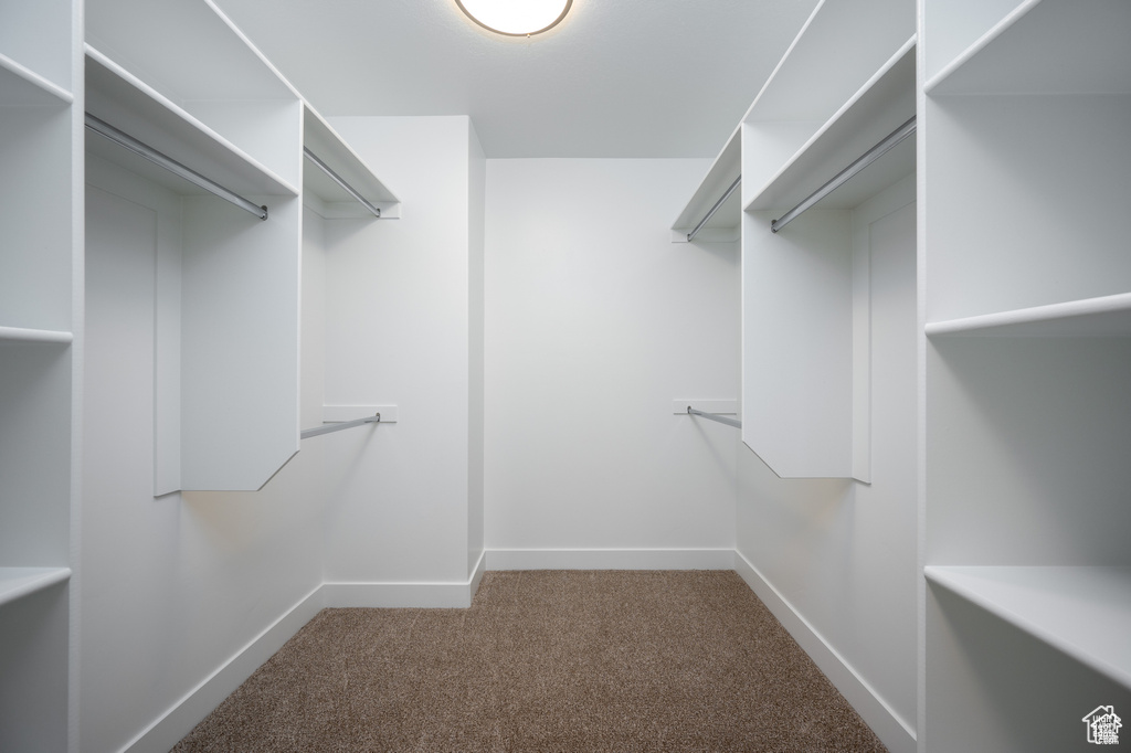 Walk in closet featuring carpet