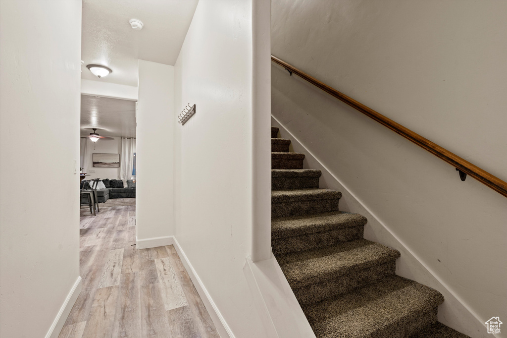 Staircase featuring ceiling fan and hardwood / wood-style flooring