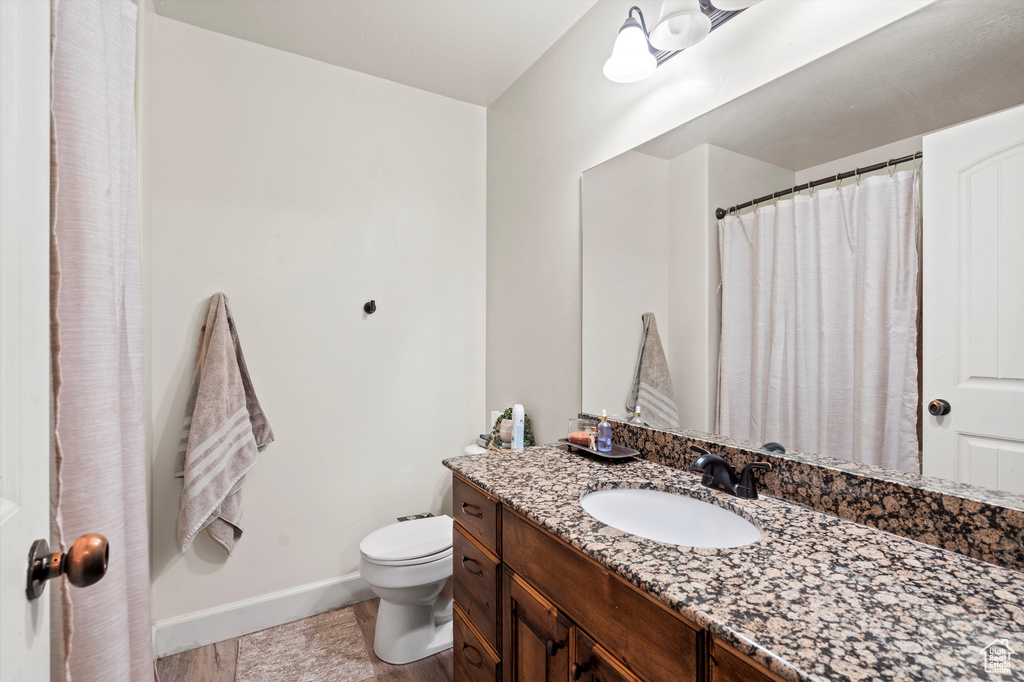 Bathroom with vanity, hardwood / wood-style flooring, and toilet