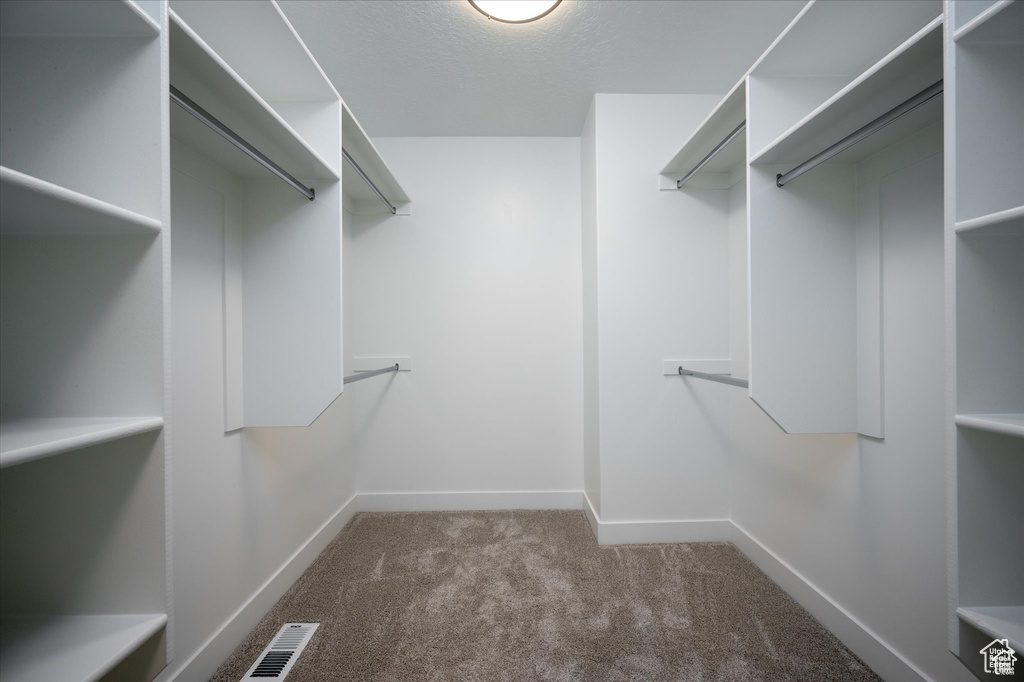 Spacious closet with carpet