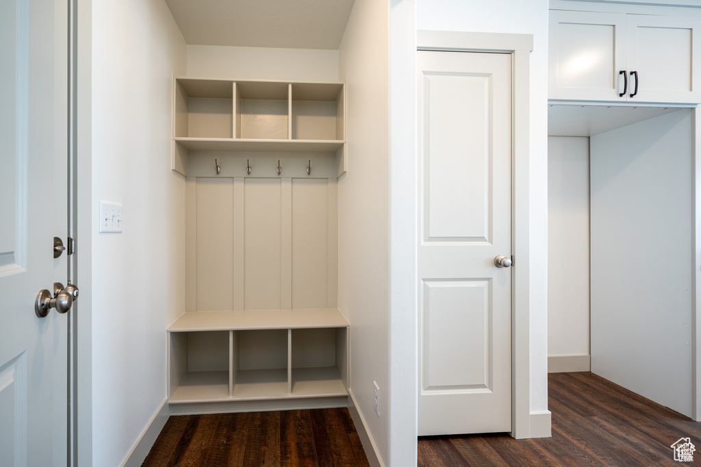 Mudroom featuring dark hardwood / wood-style flooring