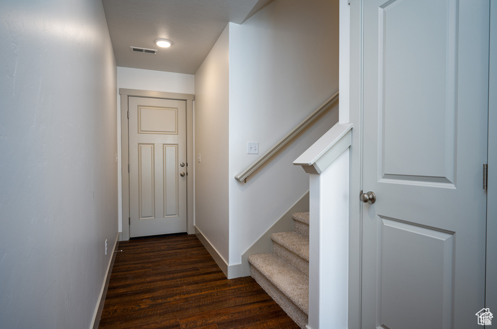 Staircase with wood-type flooring