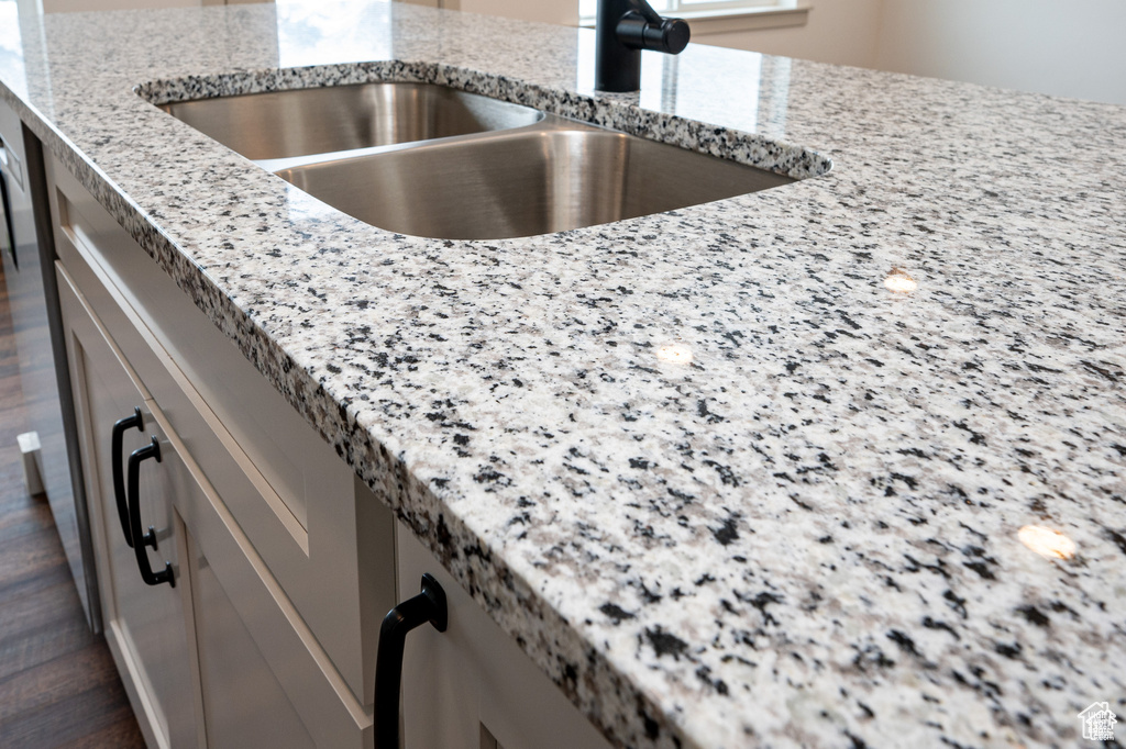 Details featuring light stone counters, sink, and dark hardwood / wood-style flooring