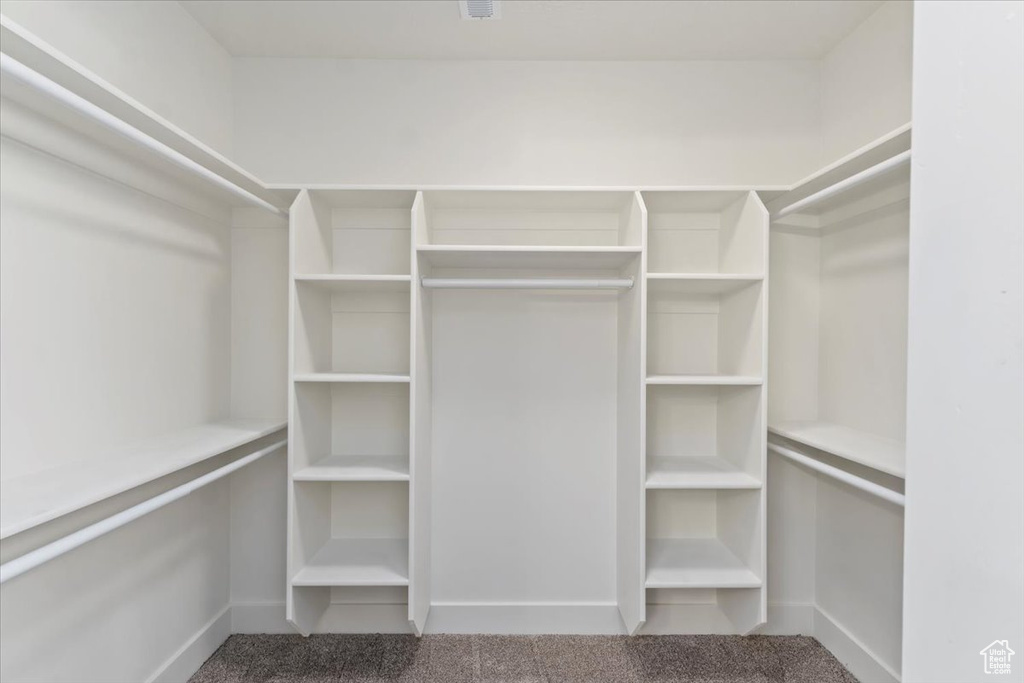 Spacious closet with carpet floors