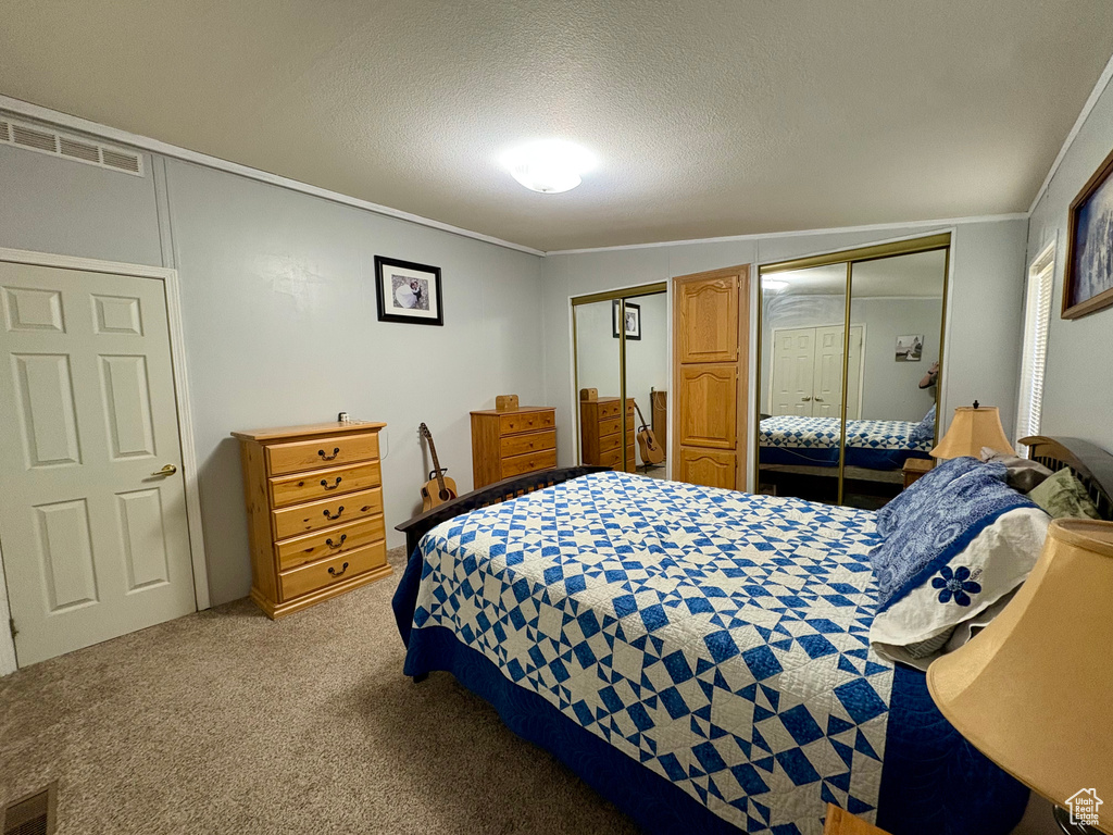 Carpeted bedroom featuring lofted ceiling, a textured ceiling, and crown molding