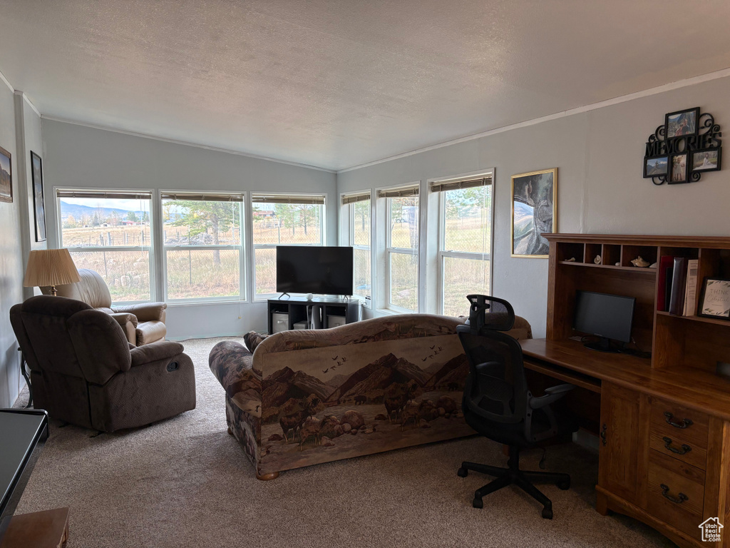 Carpeted living room featuring a textured ceiling and vaulted ceiling