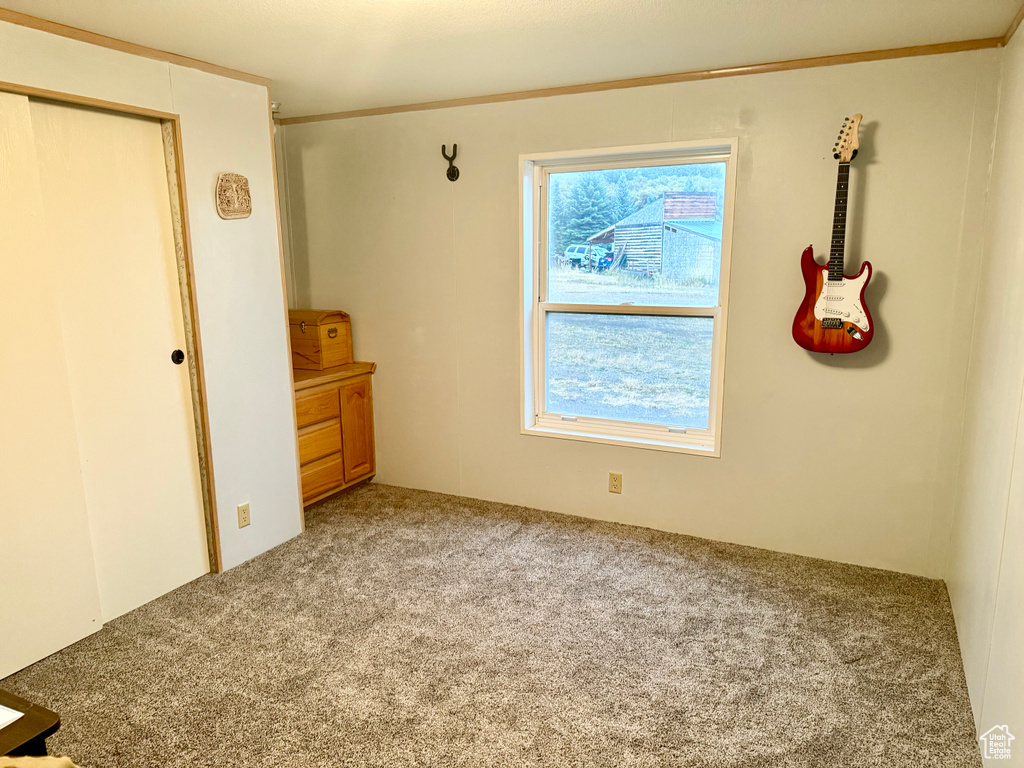 Unfurnished bedroom featuring crown molding and carpet flooring